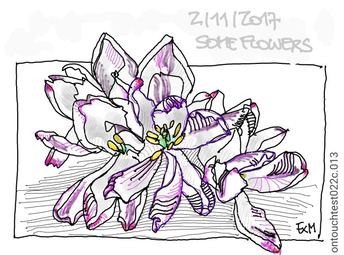 170211-exm-some-flowers-img_170211_104522