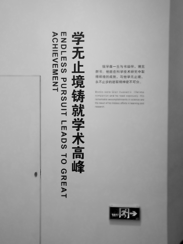 180112.Shanghai.Great_achievment.ernestoXmueller.com.IMG_BIG_SIZE_180111_043533.FINAL